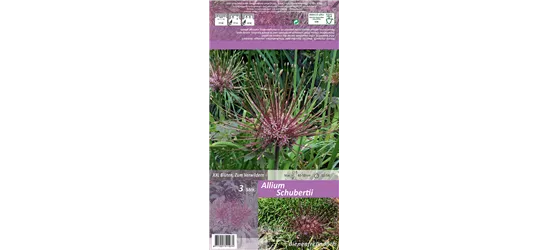 Schuberts Zier-Lauch