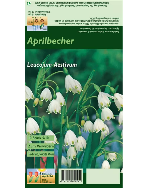 Blumenzwiebel Set 'White Print'