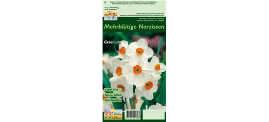 Tazetten-Narzisse 'Geranium'