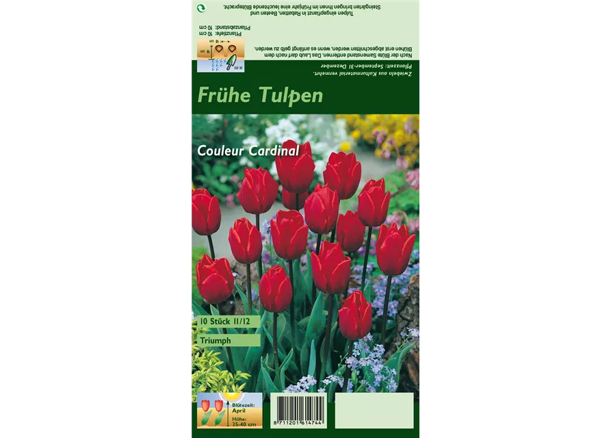 Blumenzwiebel Set 'Red Romance'