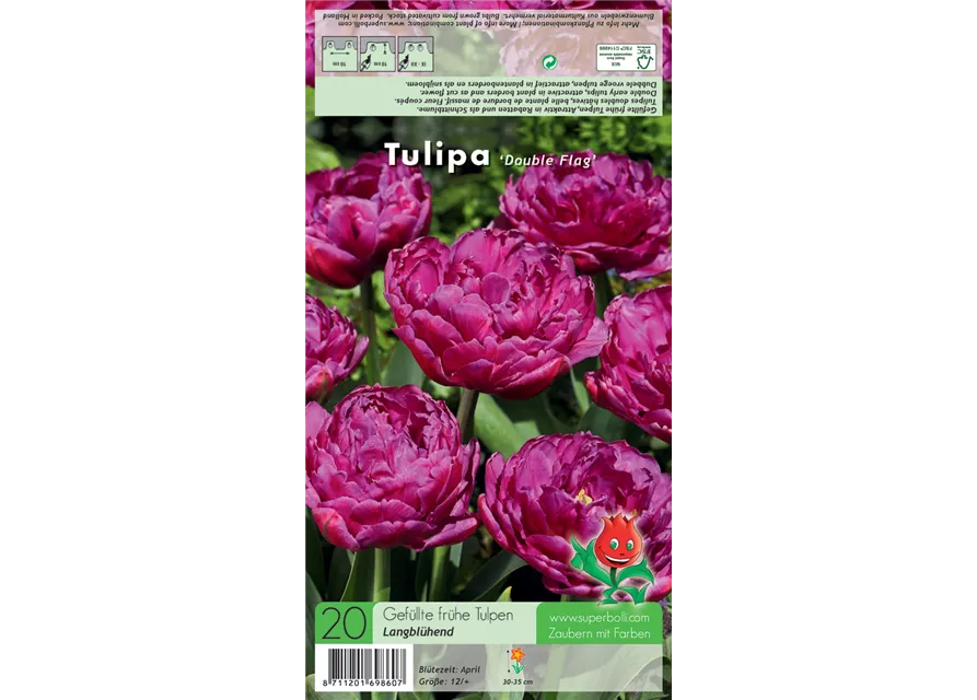Tulpe 'Double Flag'