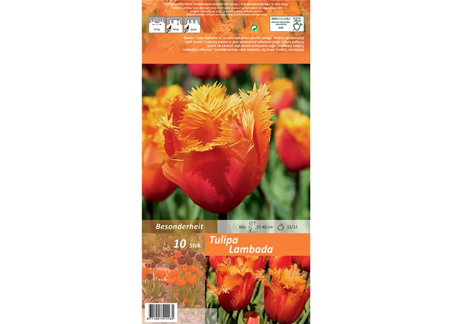 Blumenzwiebel Set 'Orange King'