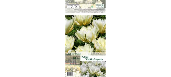 Tulpe 'Exotic Emperor'