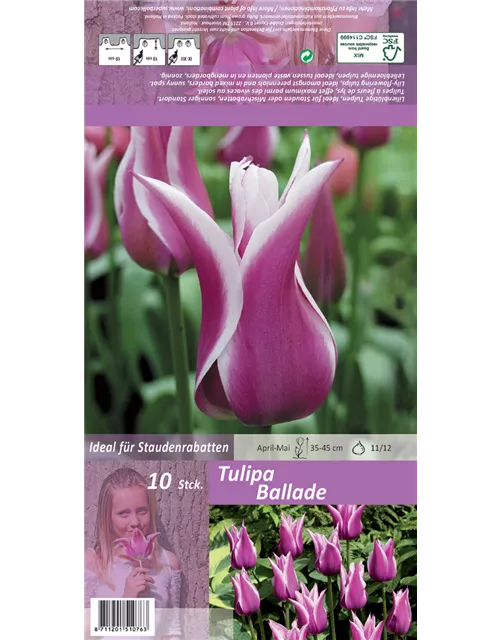 Tulpe 'Ballade'