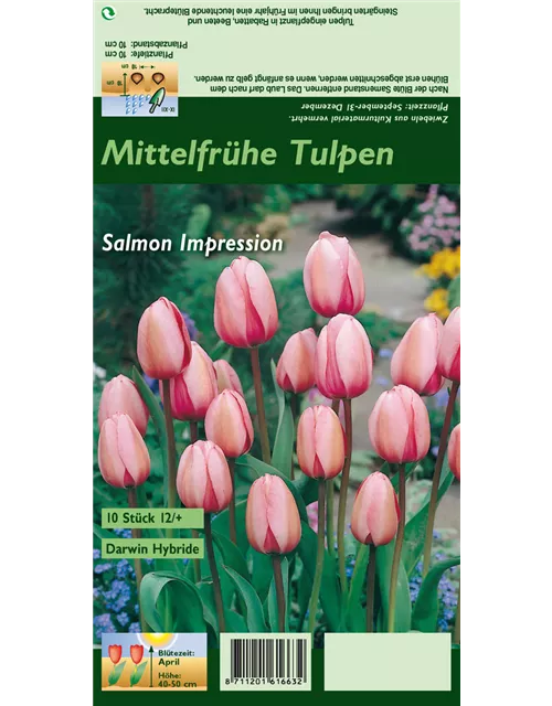 Blumenzwiebel Set 'Rosarotes Meer'