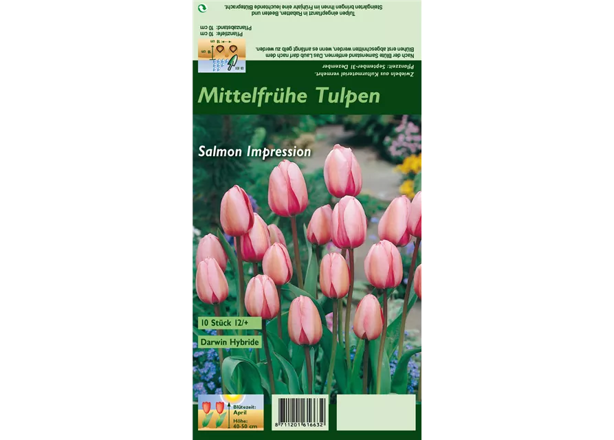 Blumenzwiebel Set 'Rosarotes Meer'