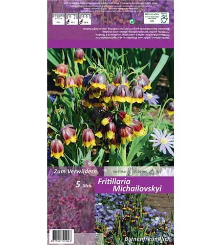 Türkische Schachbrettblume