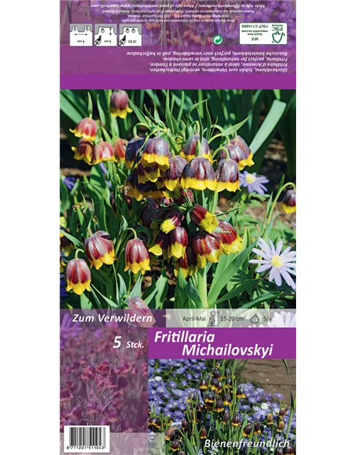 Türkische Schachbrettblume