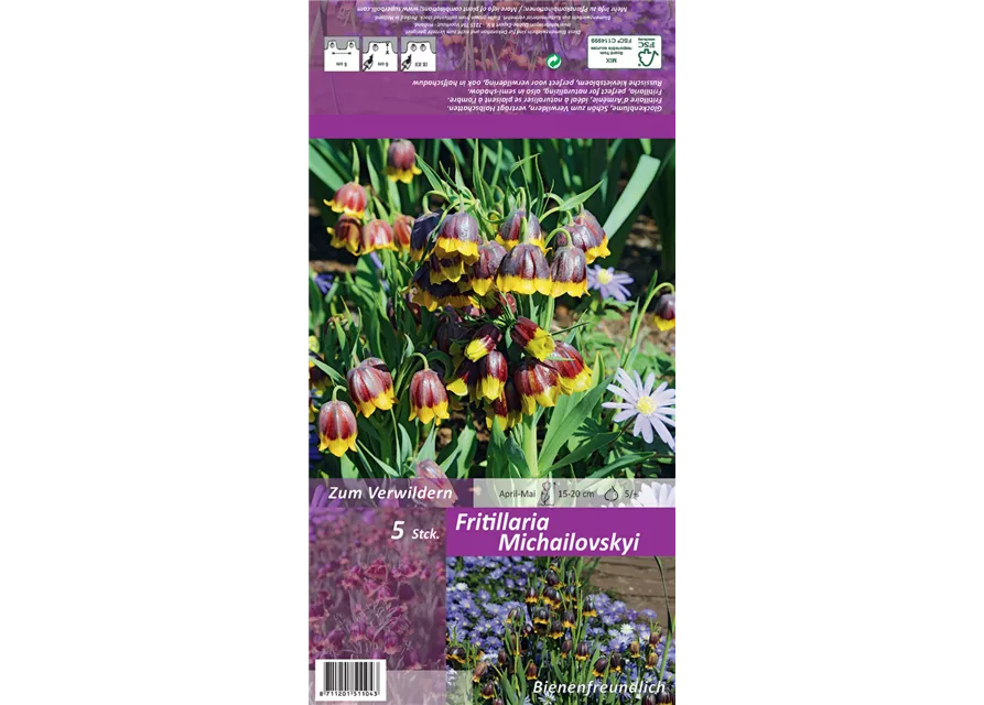 Türkische Schachbrettblume