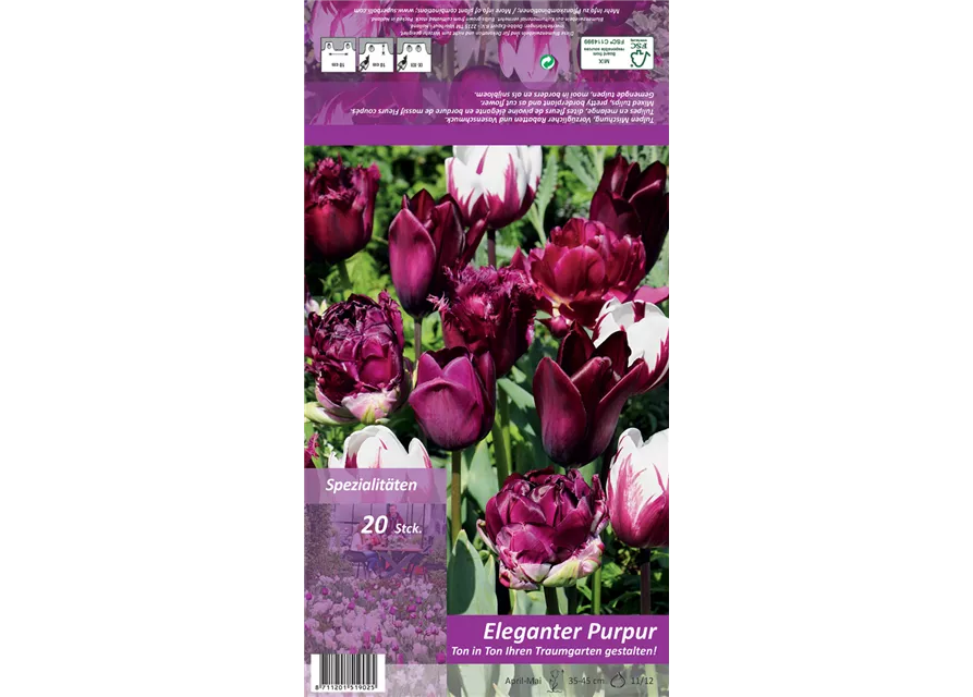 Tulpen 'Ton in Ton - Elegantes Purpur'