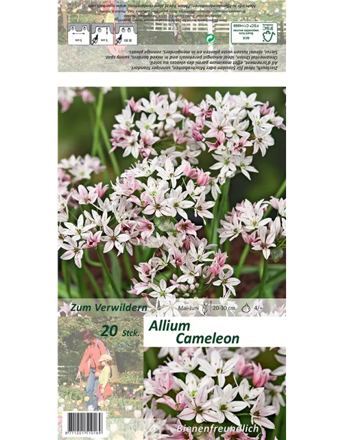 Blumenzwiebel Set 'Rosarotes Meer'