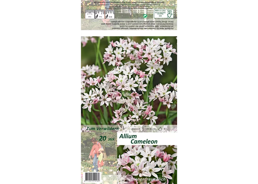 Blumenzwiebel Set 'Rosarotes Meer'