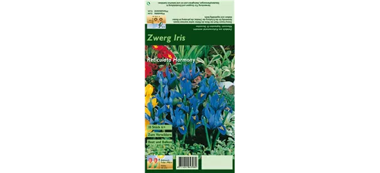 Zwerg-Iris 'Harmony'