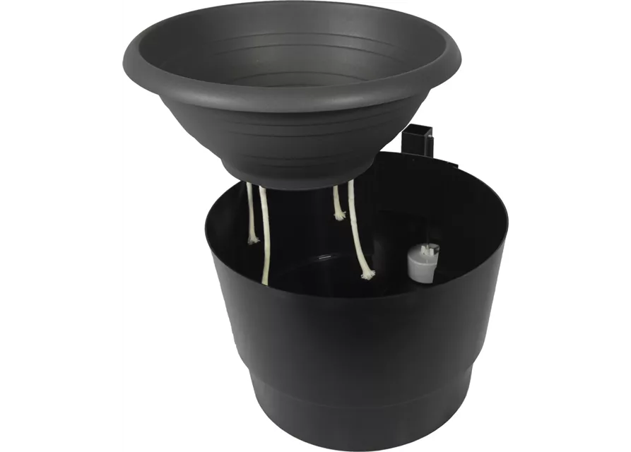 Curaflora Pflanz- und Bewässerungsset