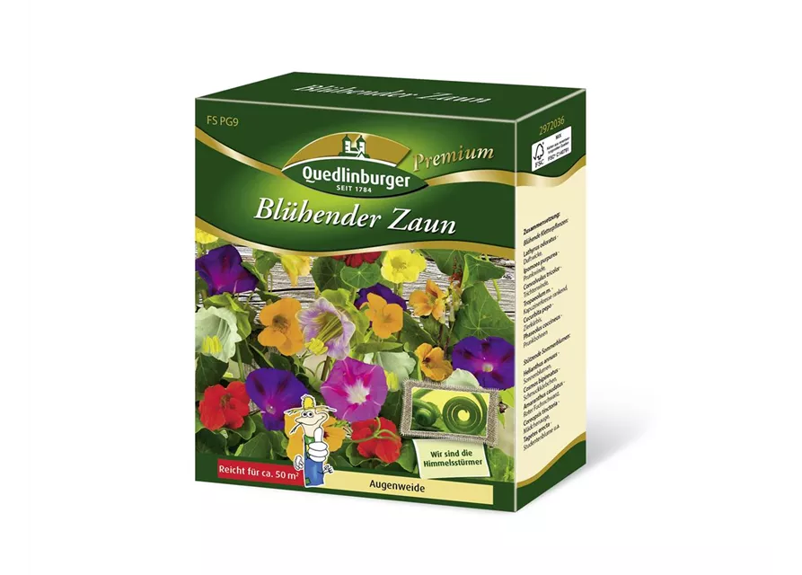 Blühender Zaun-Samen