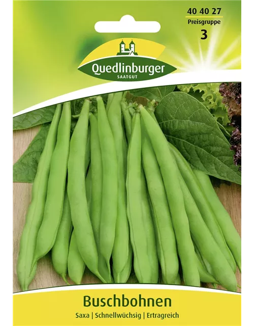 Buschbohnensamen 'Saxa'