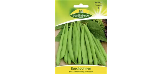 Buschbohnensamen 'Saxa'