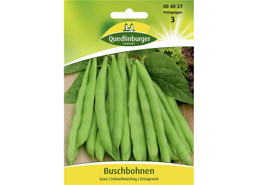 Buschbohnensamen 'Saxa'