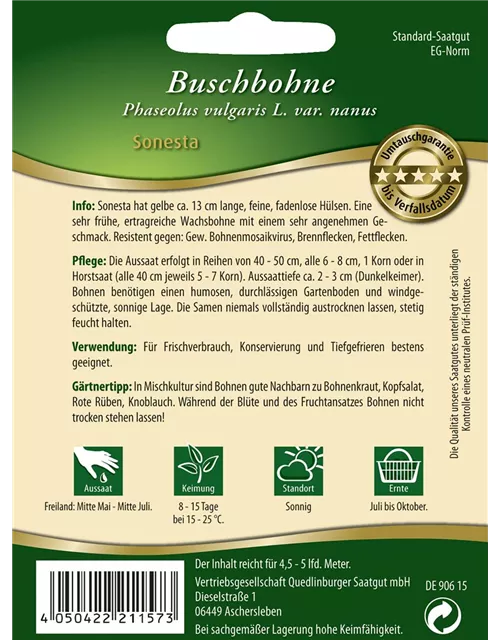 Buschbohnensamen 'Sonesta'