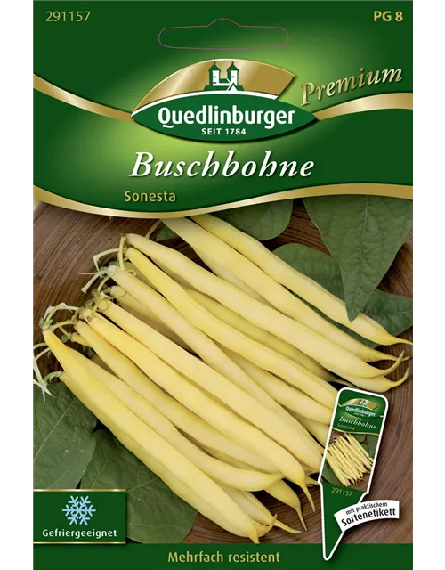 Buschbohnensamen 'Sonesta'