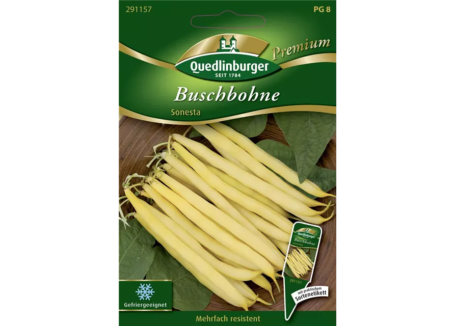 Buschbohnensamen 'Sonesta'