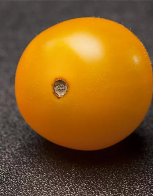 Cherry-Tomate-Samen