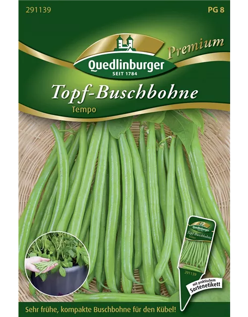 Buschbohnensamen 'Tempo'
