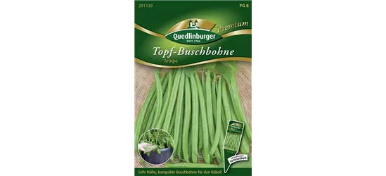 Buschbohnensamen 'Tempo'