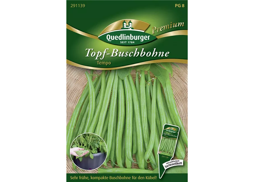 Buschbohnensamen 'Tempo'
