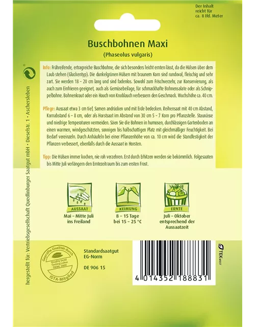 Buschbohnensamen 'Maxi'