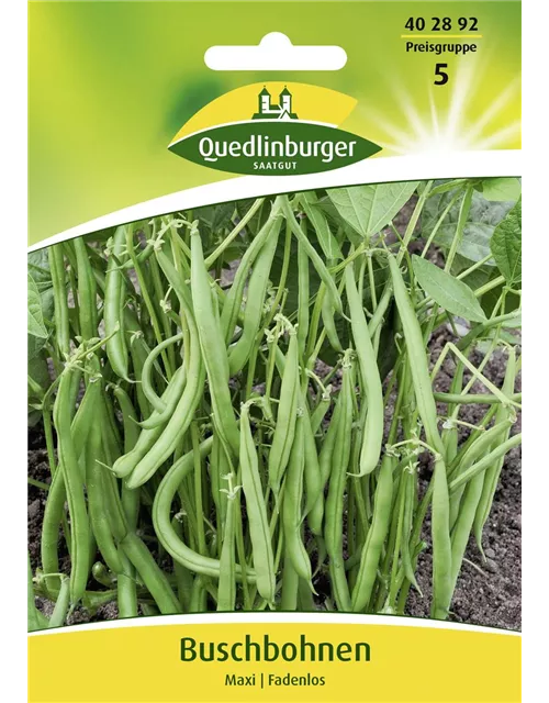 Buschbohnensamen 'Maxi'