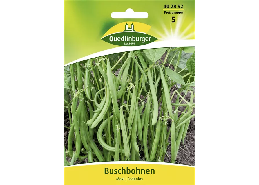 Buschbohnensamen 'Maxi'
