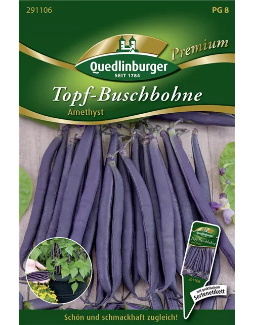 Buschbohnensamen 'Amethyst'