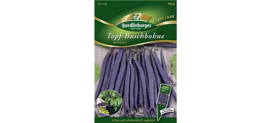 Buschbohnensamen 'Amethyst'