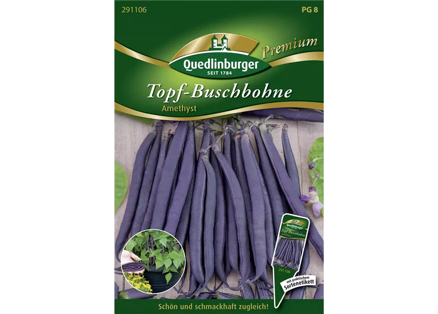 Buschbohnensamen 'Amethyst'