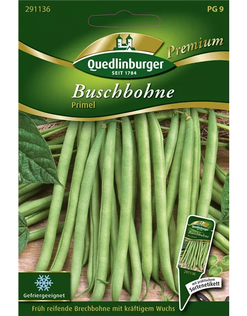 Buschbohnensamen 'Primel'