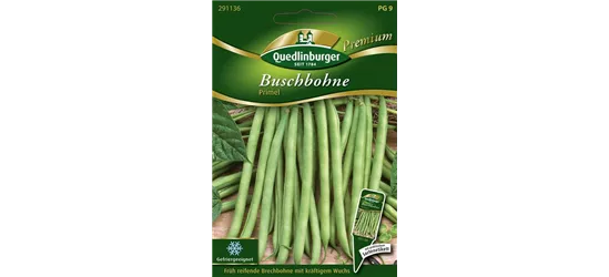 Buschbohnensamen 'Primel'