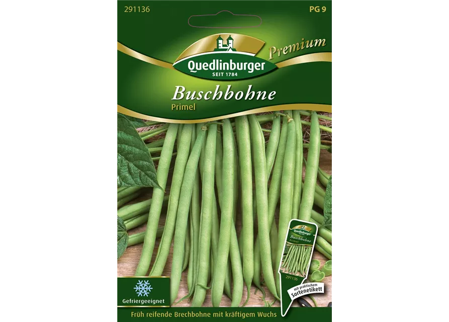 Buschbohnensamen 'Primel'