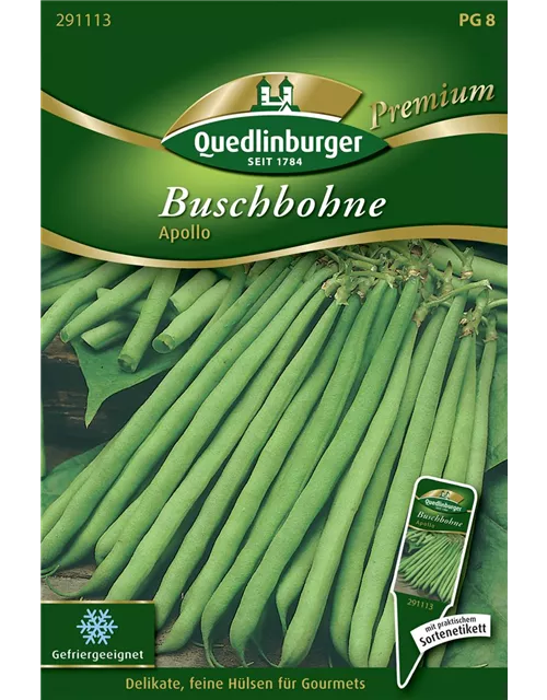 Buschbohnensamen 'Apollo'
