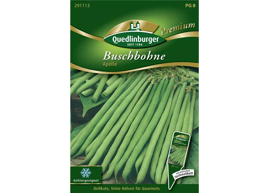 Buschbohnensamen 'Apollo'