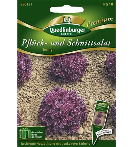 Eichblattsalatsamen 'Jenny'