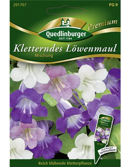 Felsenlöwenmäulchensamen