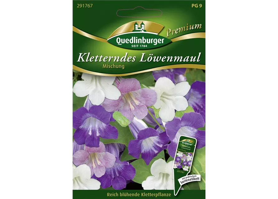 Felsenlöwenmäulchensamen