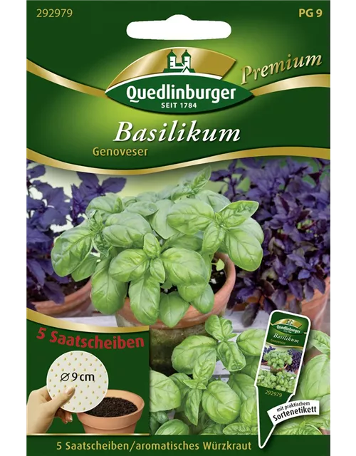 Garten-Basilikum-Samen 'Genoveser'