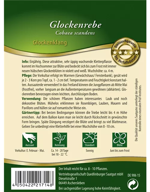 Glockenrebensamen 'Glockenklang'