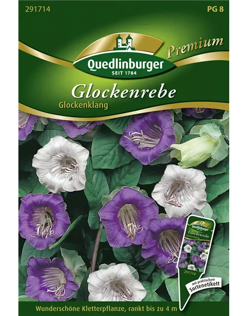 Glockenrebensamen 'Glockenklang'