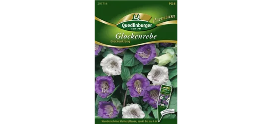 Glockenrebensamen 'Glockenklang'