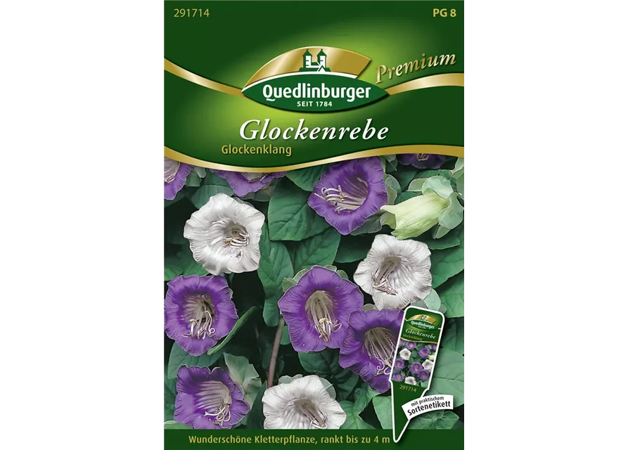 Glockenrebensamen 'Glockenklang'