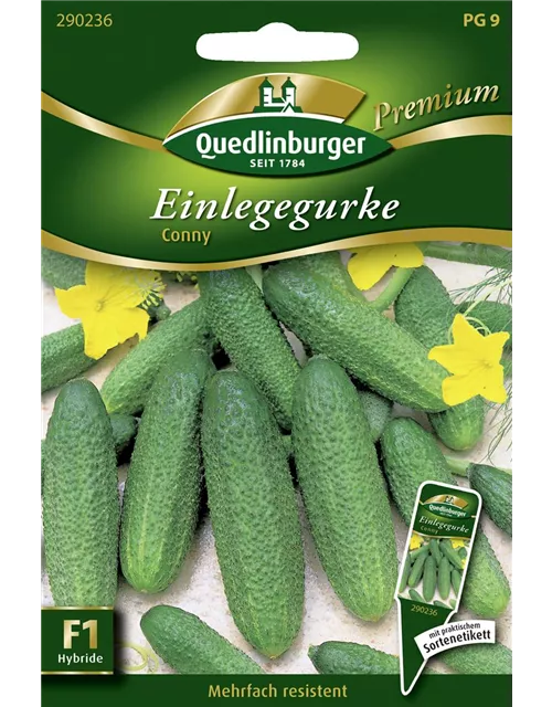 Gurkensamen 'Conny F1'
