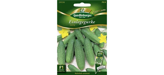 Gurkensamen 'Conny F1'